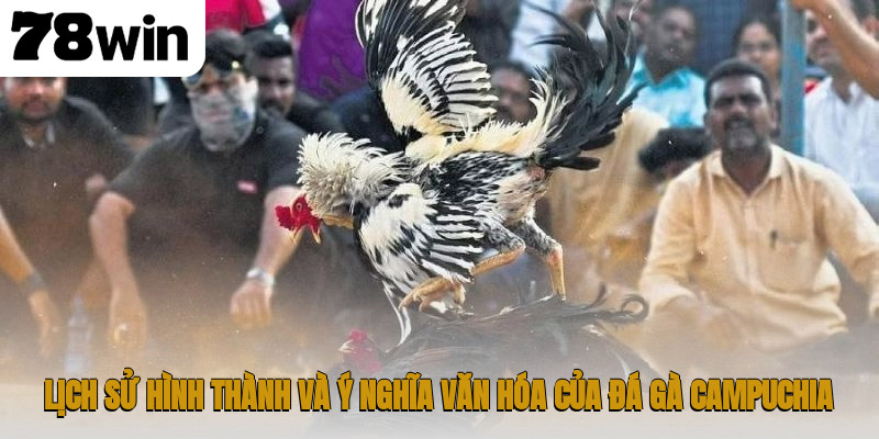 Lịch sử hình thành và ý nghĩa văn hóa của đá gà Campuchia